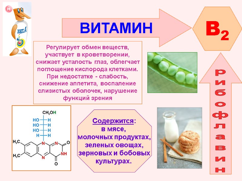ВИТАМИН  B2 рибофлавин Регулирует обмен веществ, участвует в кроветворении, снижает усталость глаз, облегчает